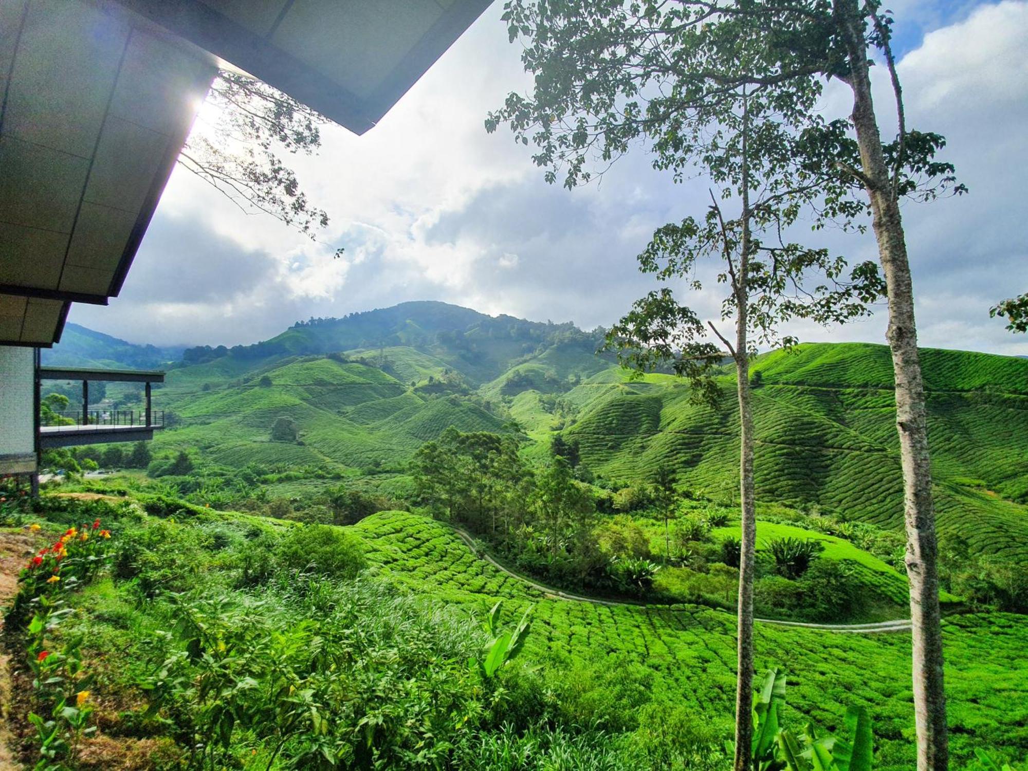 Clocktower 2 Homestay 2-7 Pax At Brinchang, Cameron Highlands Exteriér fotografie