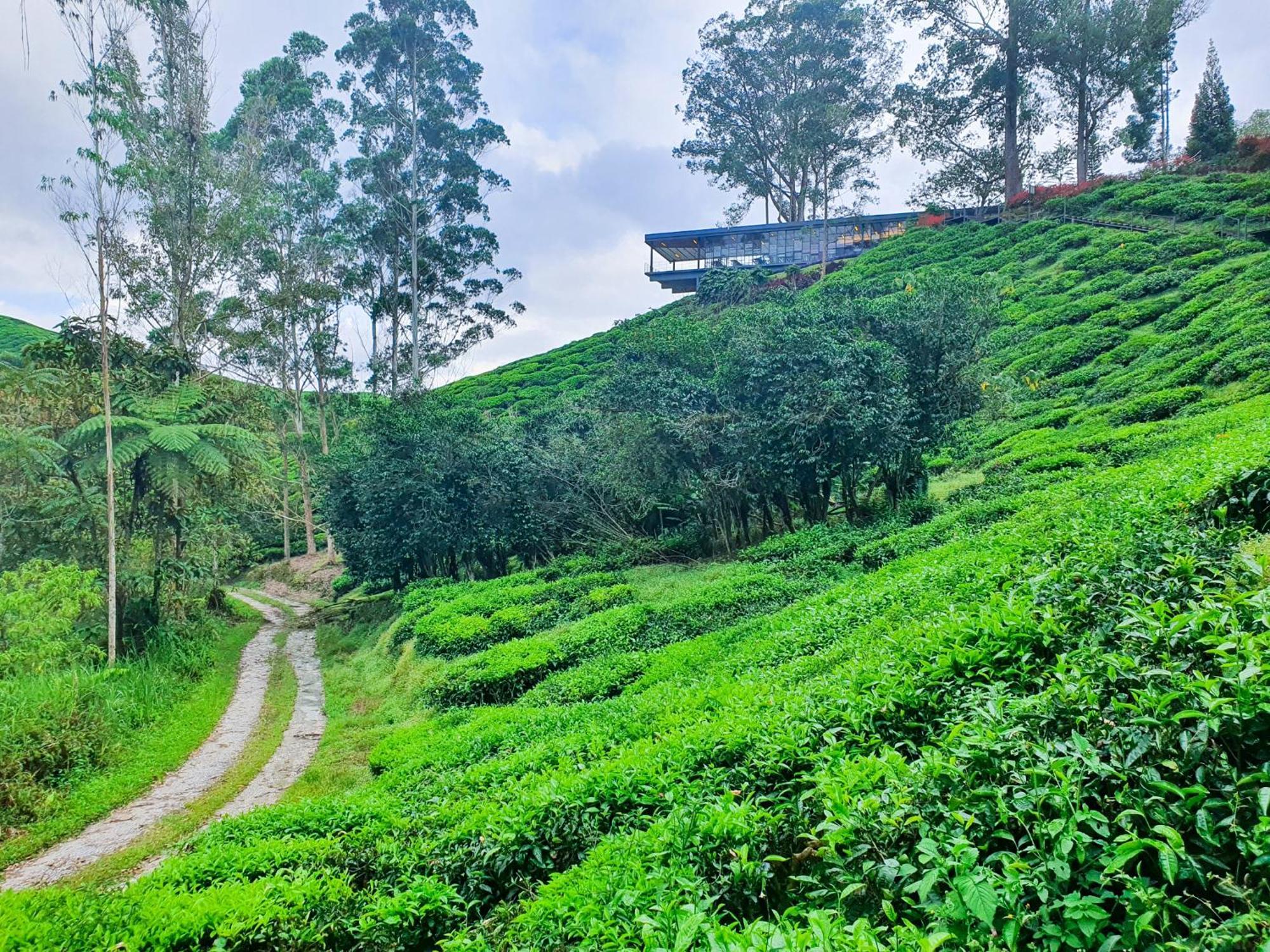 Clocktower 2 Homestay 2-7 Pax At Brinchang, Cameron Highlands Exteriér fotografie